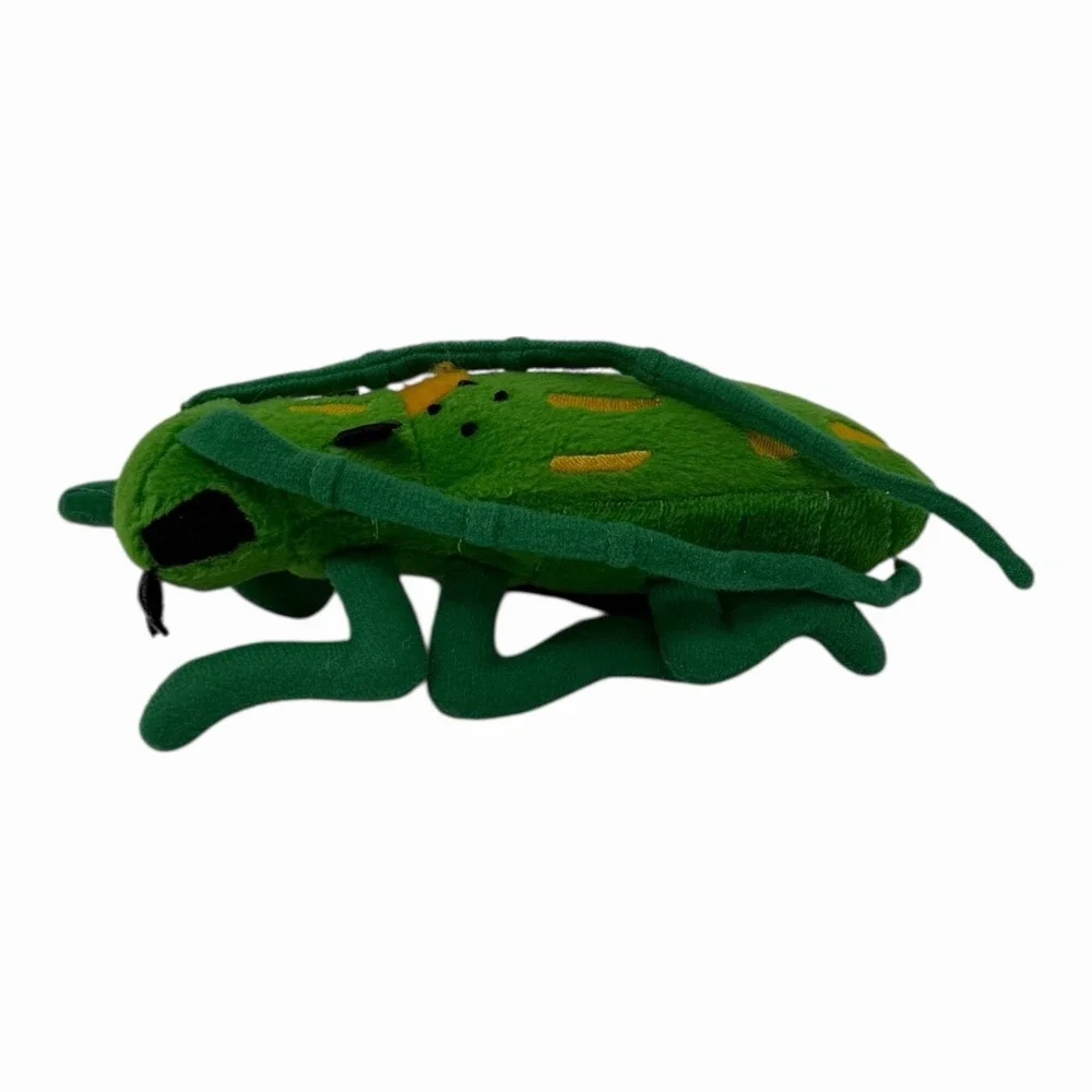 Beetle‎ Insects 5